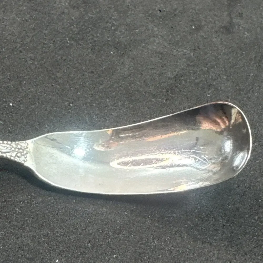 Canterbury by Towle Sterling Silver Horseradish Scoop 6 1/4